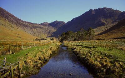 The Water Win-Win: Food and ecosystems in balance