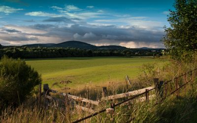 From conflict to conciliation on Western landscapes