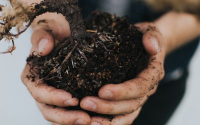 What on earth is earth? A soil scientist tell us…and why we shouldn’t treat it like dirt.