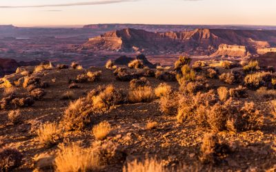 Science on the range: studying wide open landscapes in the American West