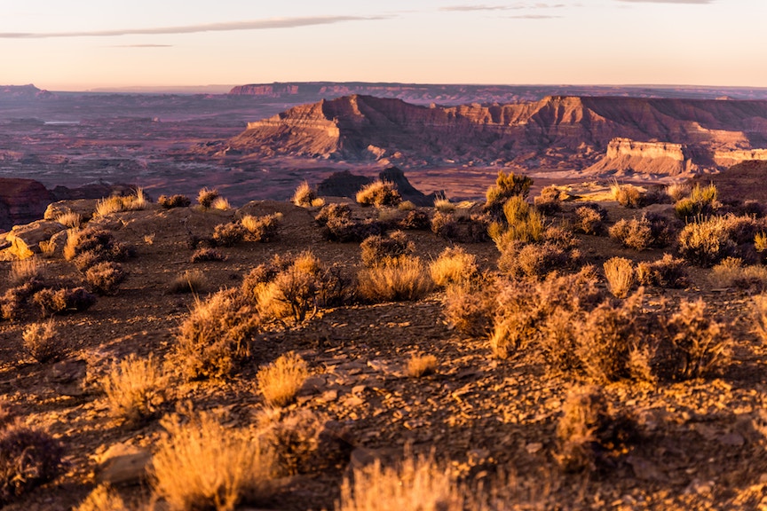 Science on the range: studying wide open landscapes in the American West