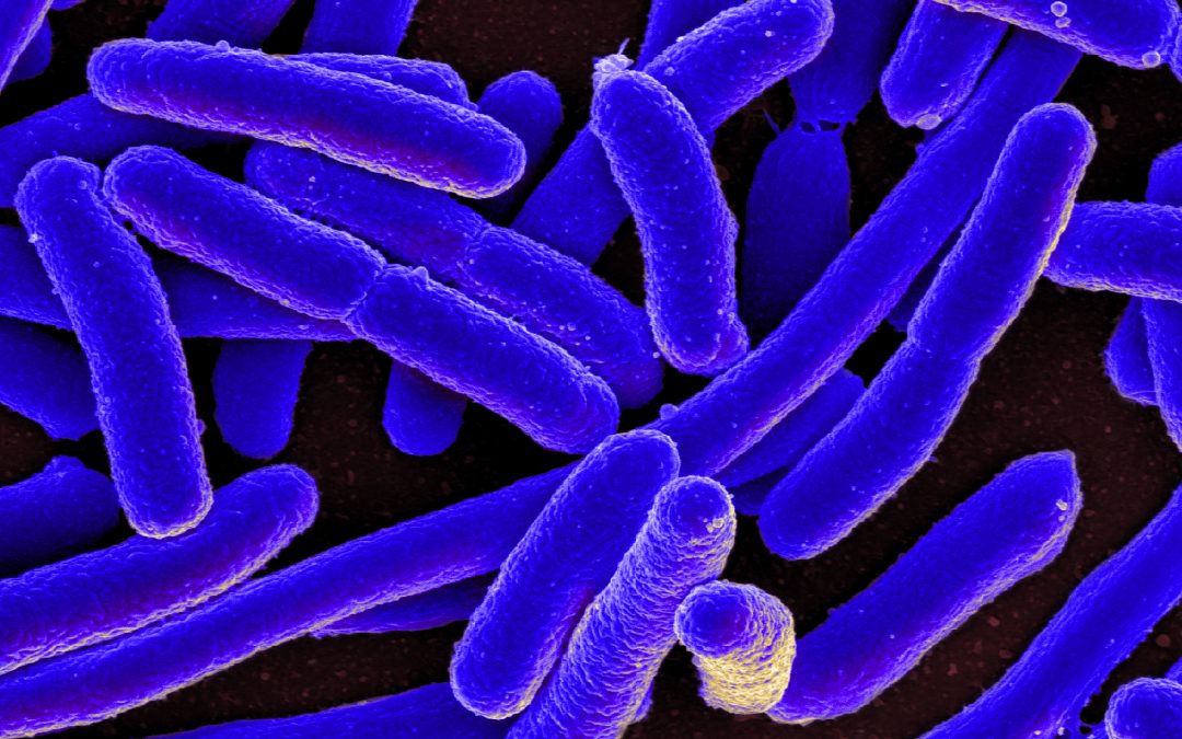 Microbiome: the ecosystem inside your body