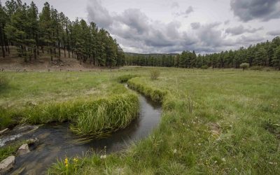 A new threat to New Mexico’s water 