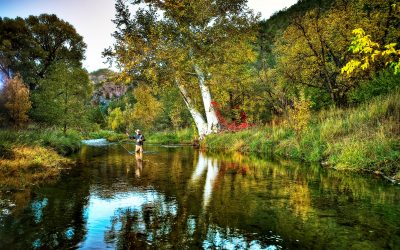 Deciding the fate of the Gila, New Mexico’s last free-flowing river