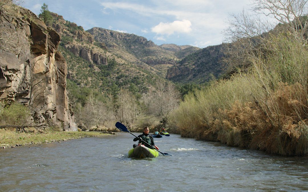 Life and death on the Gila River