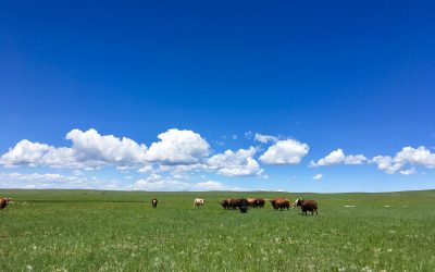 Mountain and Prairie host Ed Roberson on innovative approaches to water in the West