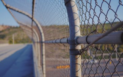 Allegra Love on immigrant prison camps: an attorney’s perspective