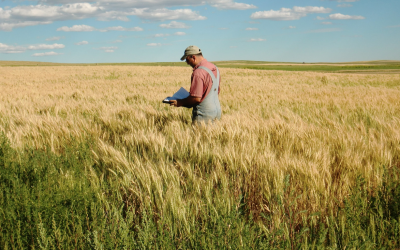 From apprentice to foreman—building a career in farming