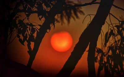 Farming and fire in Australia today