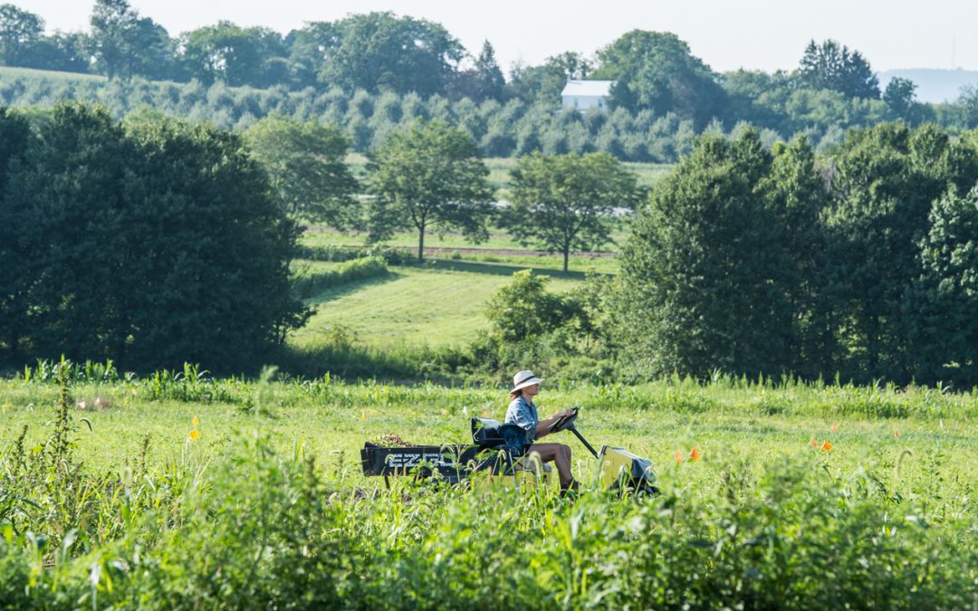 The Rodale Institute: Pioneers in regenerative/organic farming