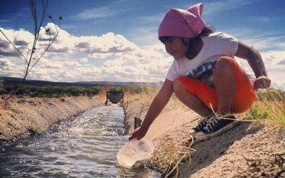 First nations food–rebuilding resilience across the land