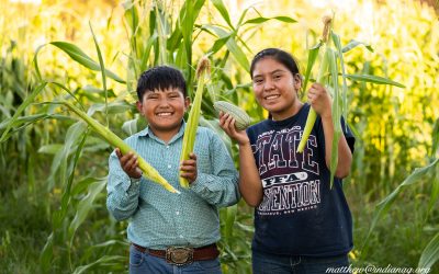 Tribal food renaissance