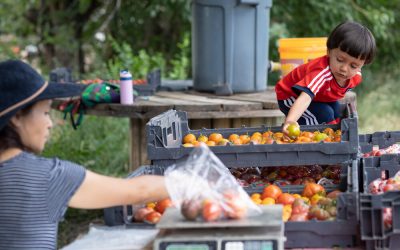 Cultivating the People-Planet-Profit model on an urban farm