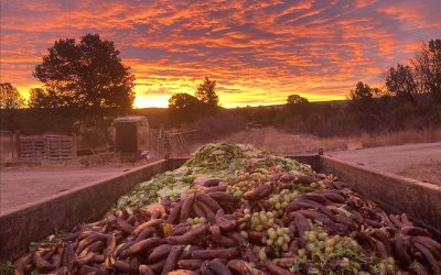 Science meets compost