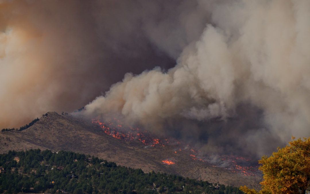 Western Wildfires: Facing a hotter and drier future