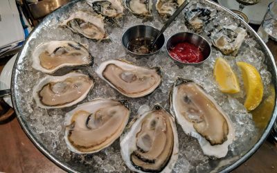 Cultivating oysters for ocean health, human health, and economic development
