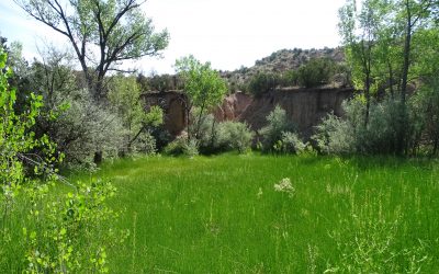 From mountaintops to farm fields: Landscape scale restoration