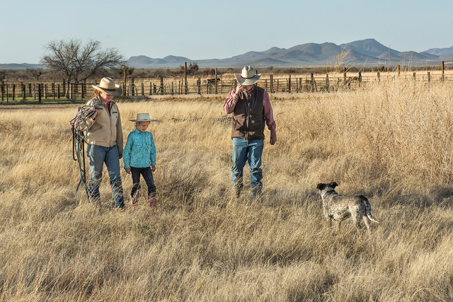 Photographing grasslands: beauty, community, life