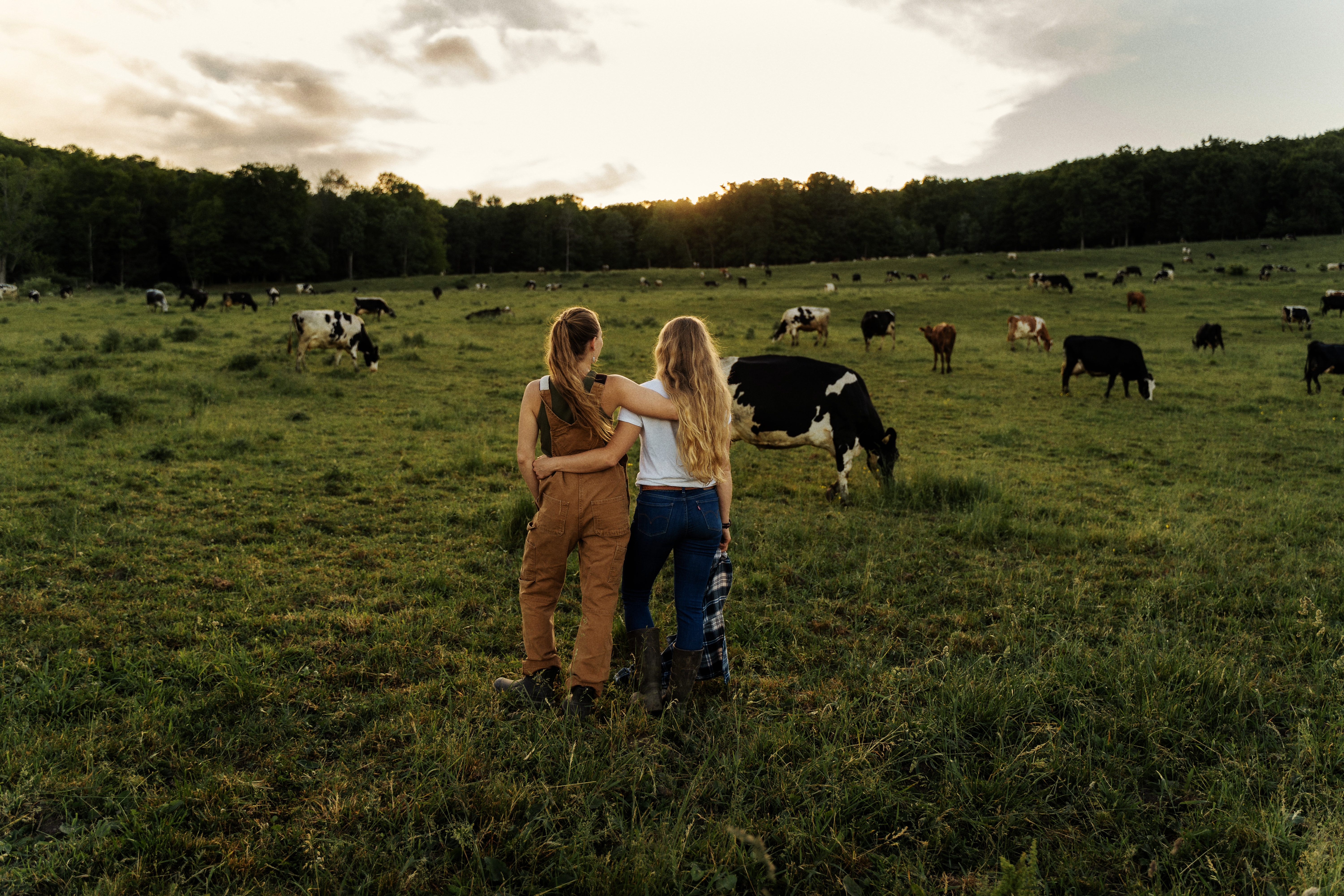 Painterland Sisters Yogurt: Regeneration at every step from farmer to consumer