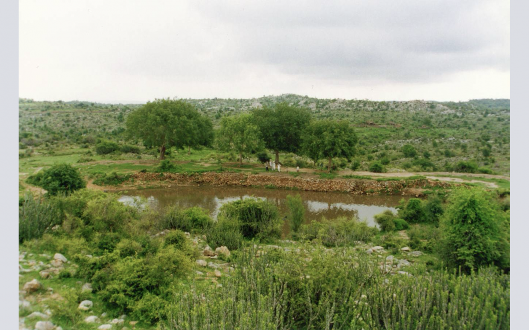 Let it Flow: Restoring balance to parched and flooded landscapes