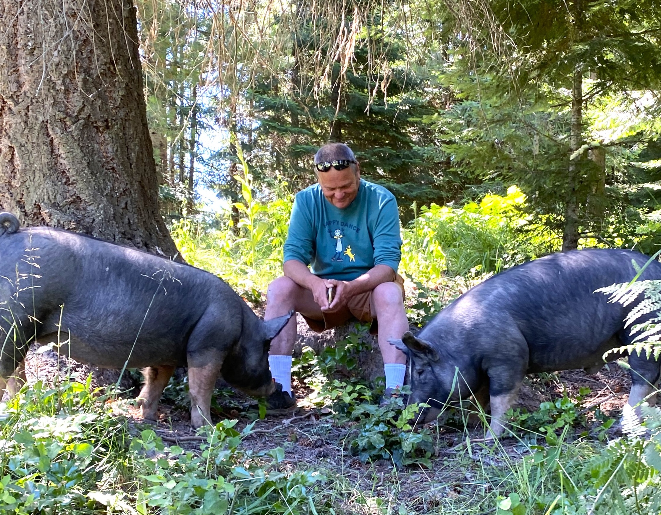 From backyard veggie garden to profitable livestock ranch
