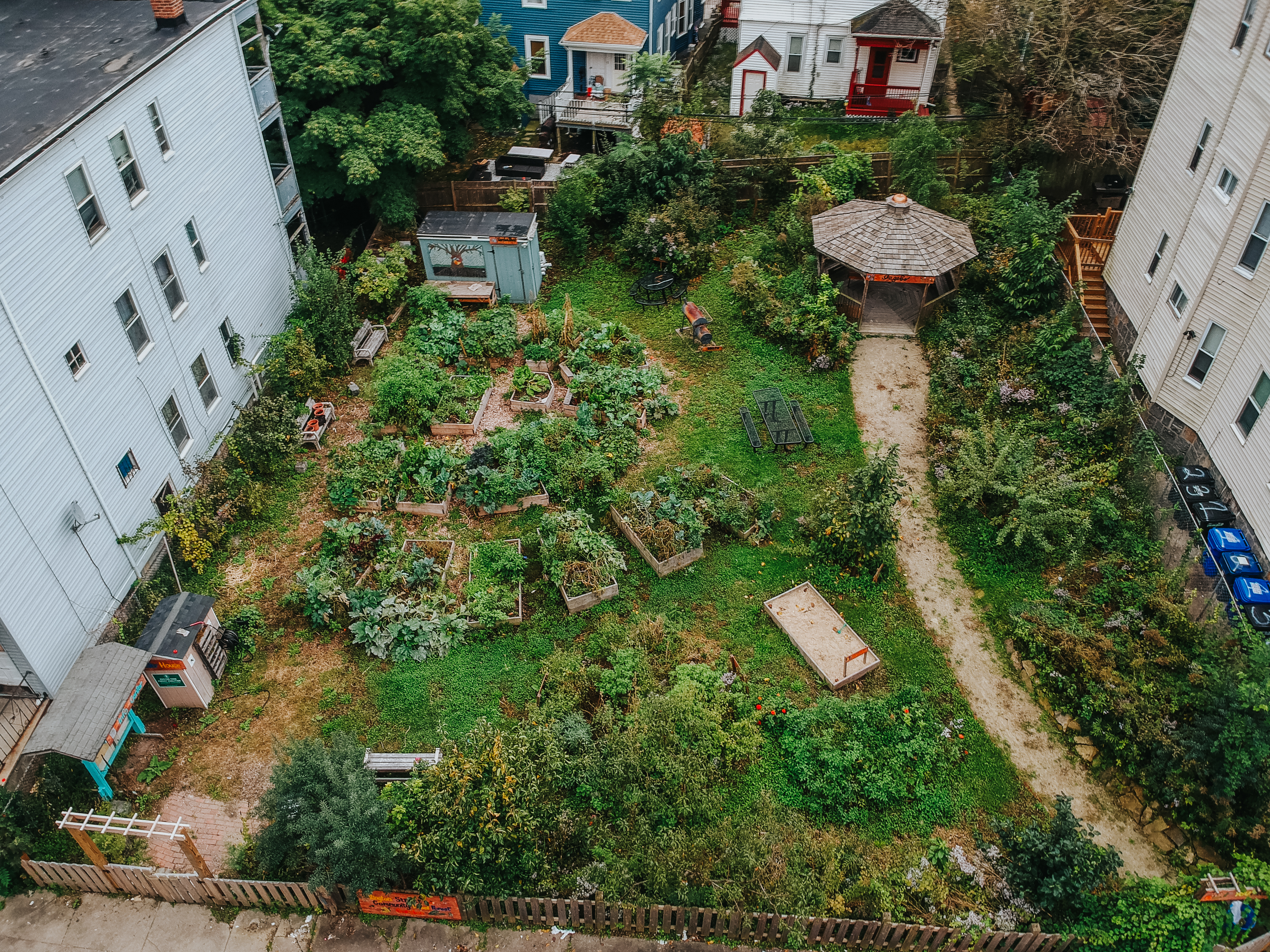 Cultivating community in urban food forests