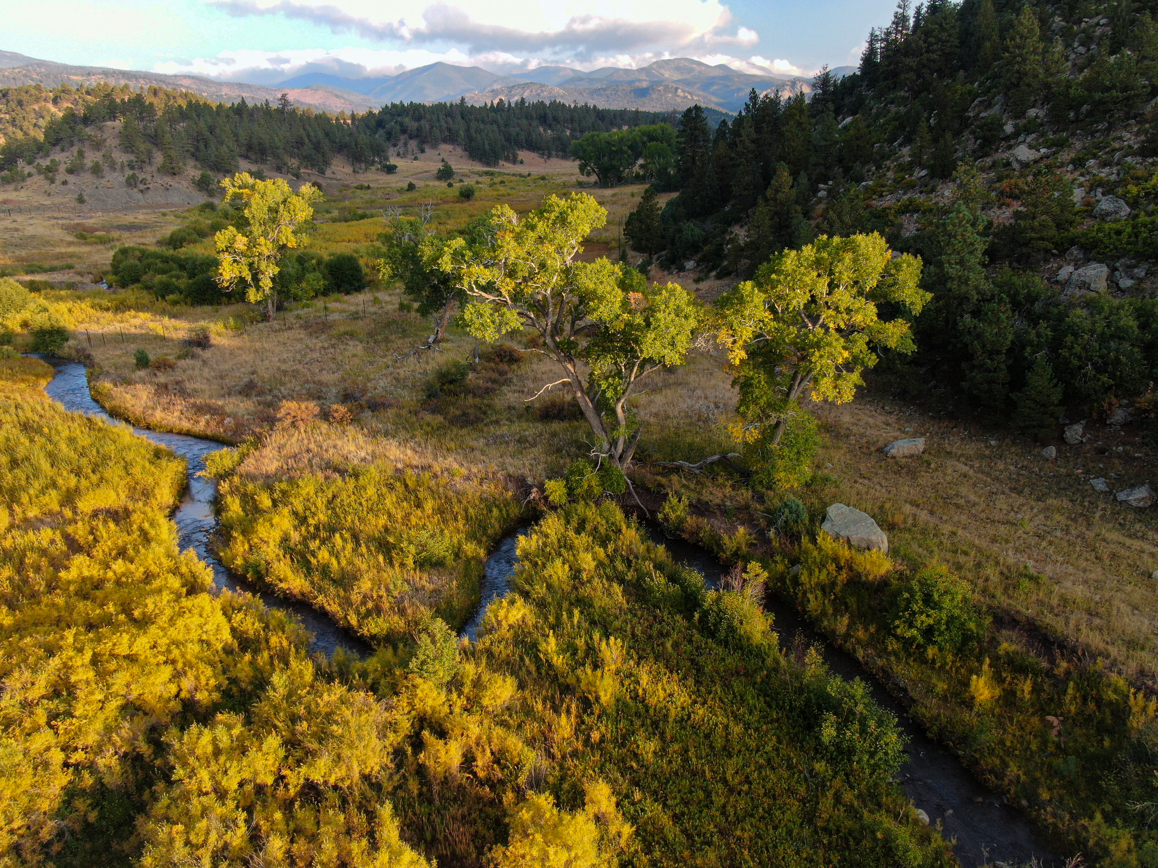 Ted Turner’s Ranch: Watching degraded ecosystems bounce back