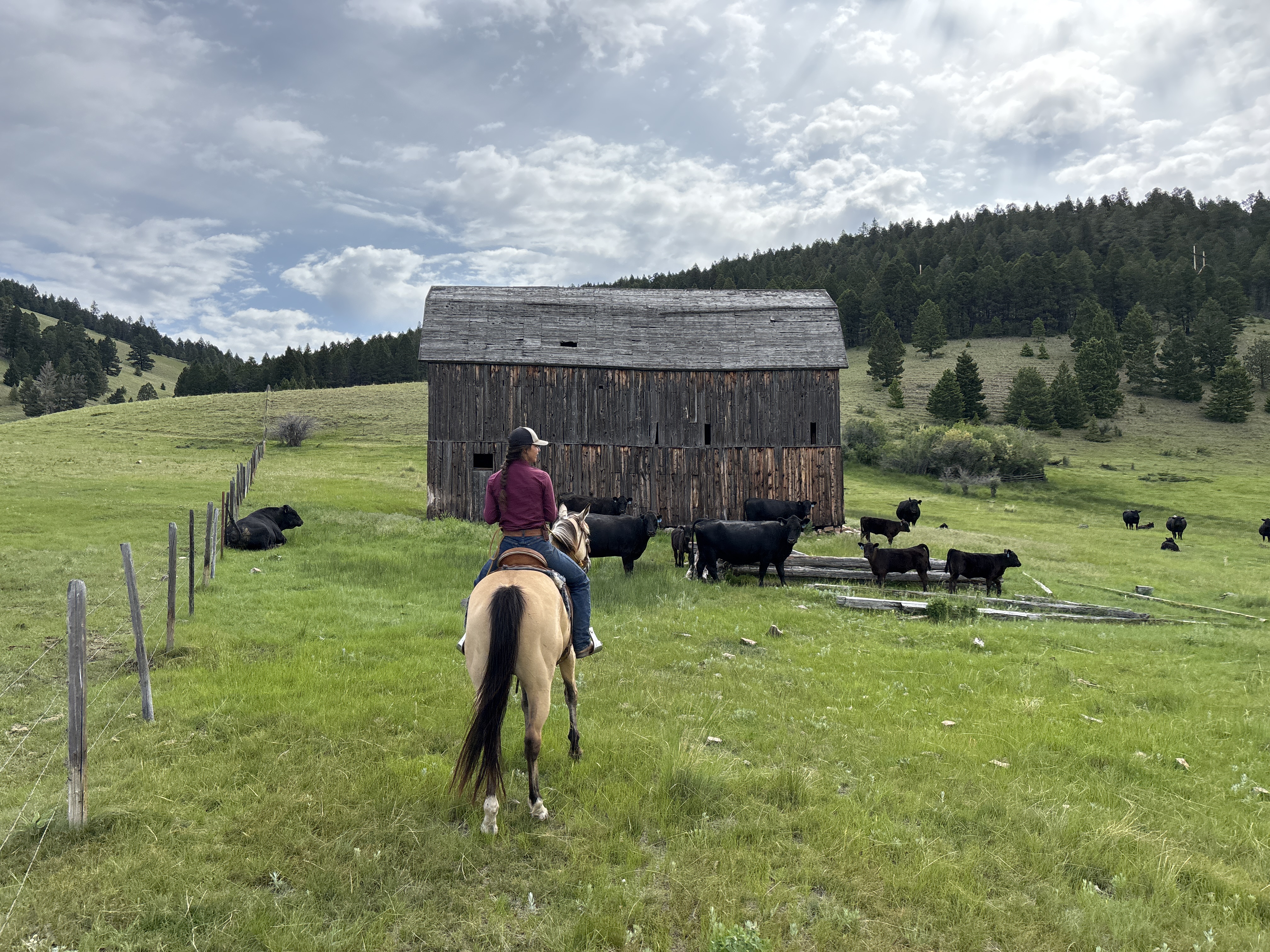 Meet Xochitl, Quivira’s new Executive Director