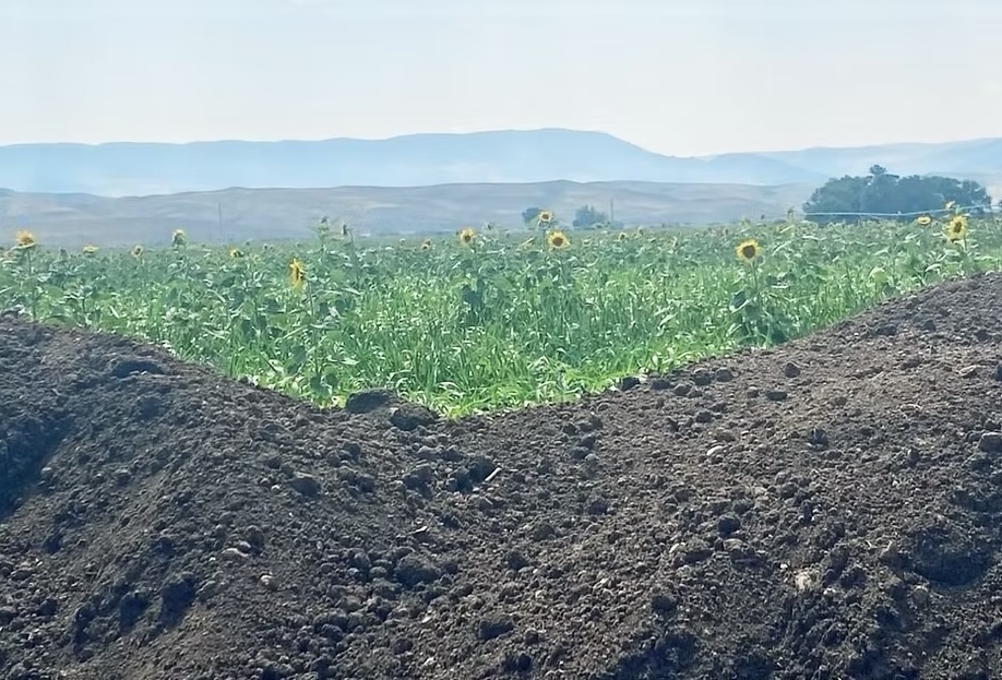 Putting soil science to work