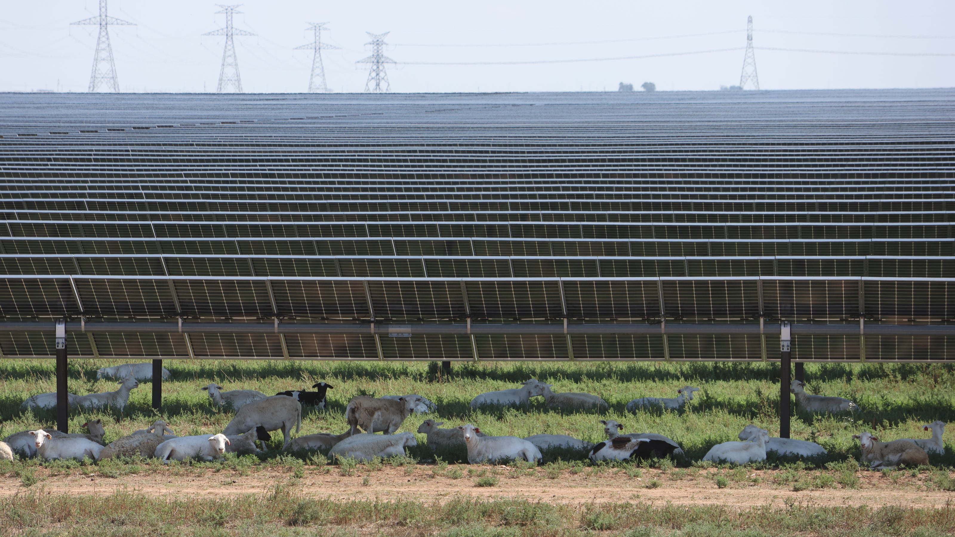 Renewing farms with renewable energy