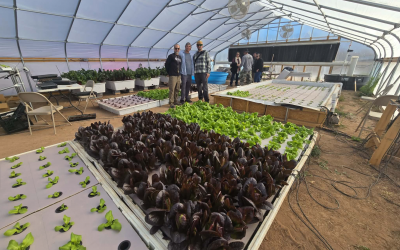Growing food year-round—in any climate