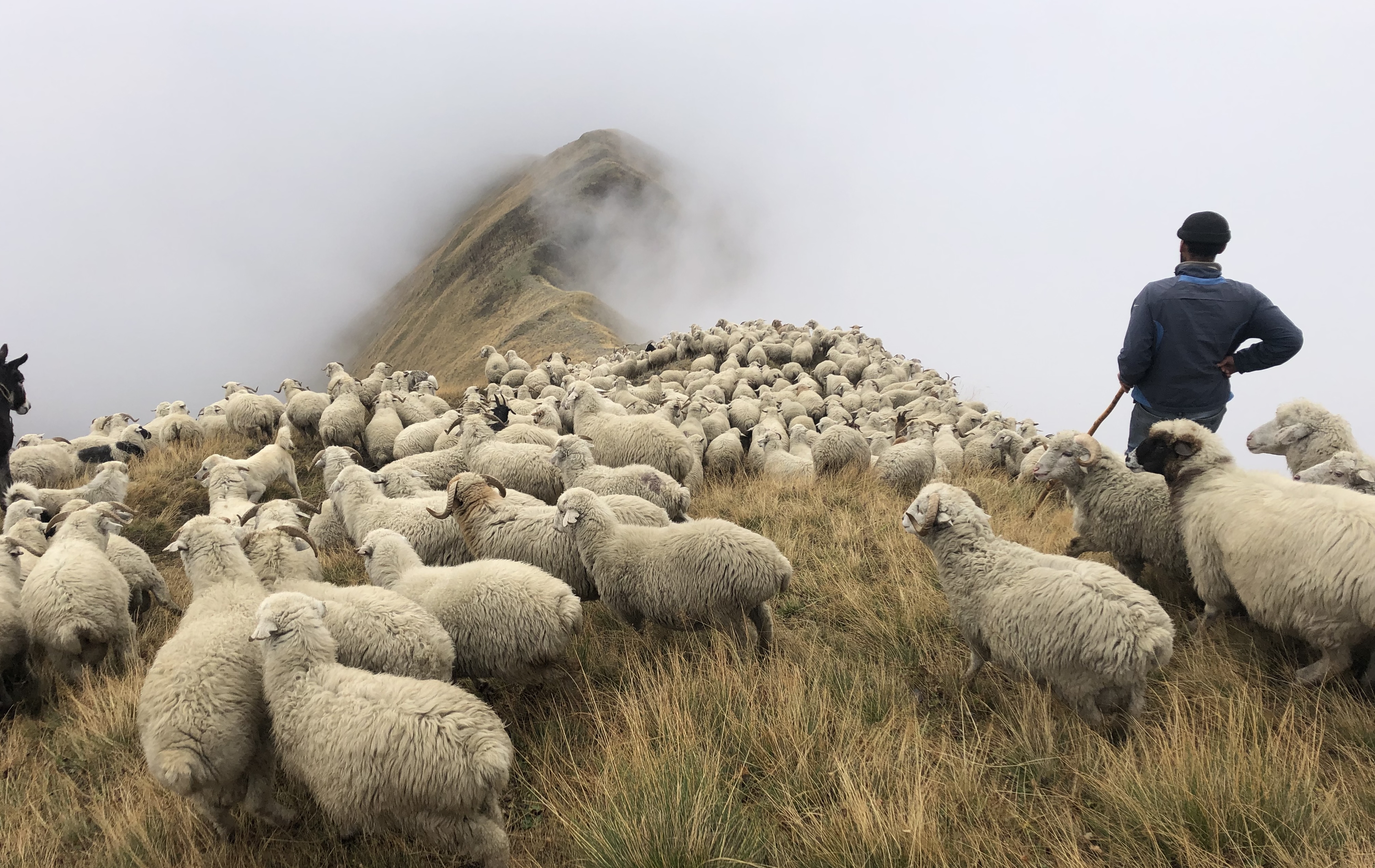 Chasing Cheese: One man’s trek to learn from pastoral producers across the planet