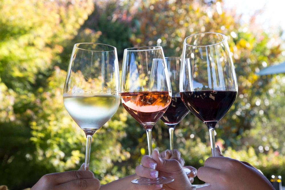 The regenerative vineyard: Winemaking and wildness