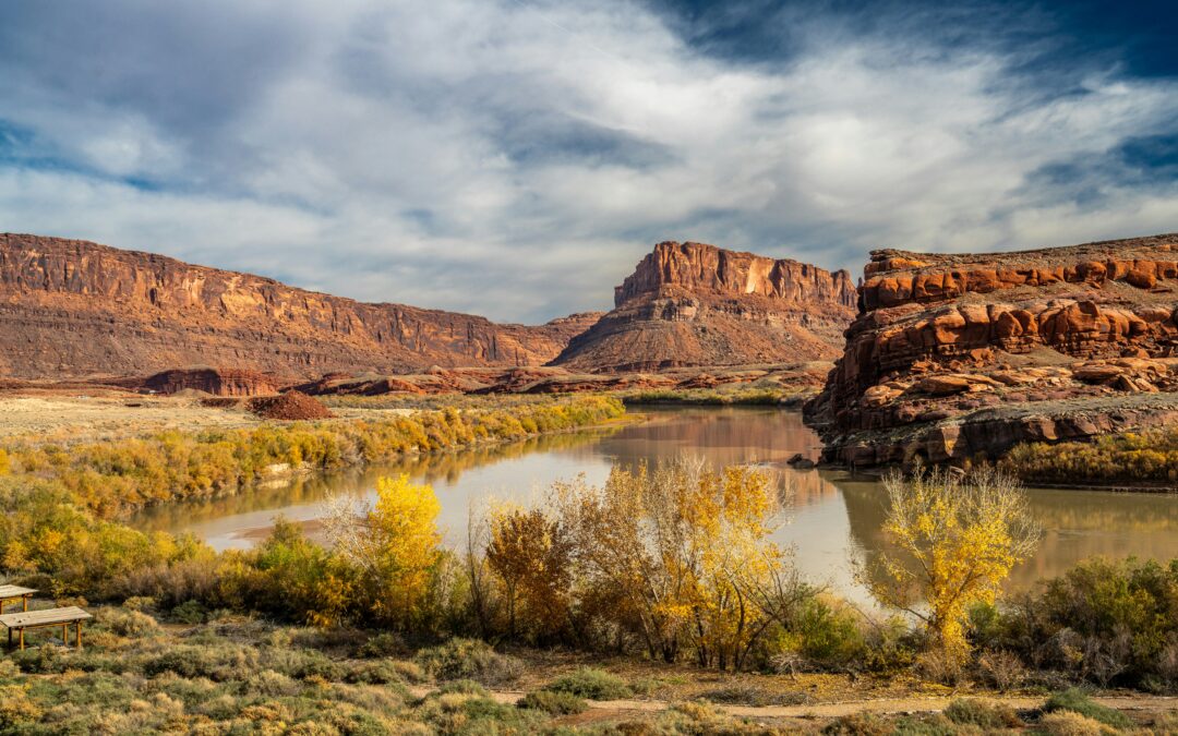 Water in the Desert: Gary Paul Nabhan’s Life in Wild Places