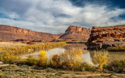Water in the Desert: Gary Paul Nabhan’s Life in Wild Places